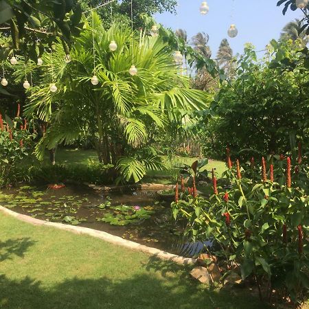 Le Jardin D'Alice Hotel Phan Thiet Kültér fotó