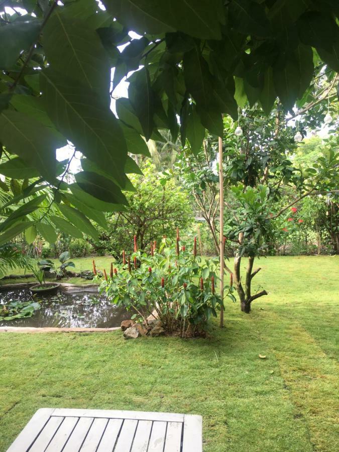 Le Jardin D'Alice Hotel Phan Thiet Kültér fotó